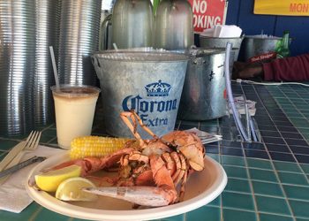 Sixty-Something: My All-Time Favorite Hamptons Mixed Drink