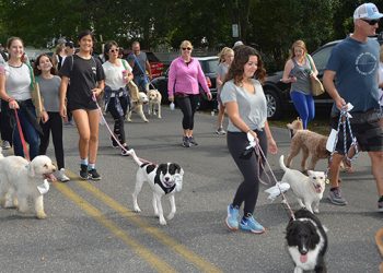 Columbus Day Weekend Hamptons “Stroll To The Sea” To Raise Awareness For Local Animal Shelter