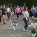 Columbus Day Weekend Hamptons “Stroll To The Sea” To Raise Awareness For Local Animal Shelter