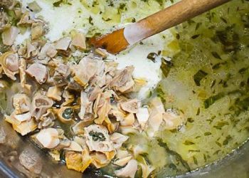 East Hampton Historical Farm Museum Hosting Clam Chowder Throwdown