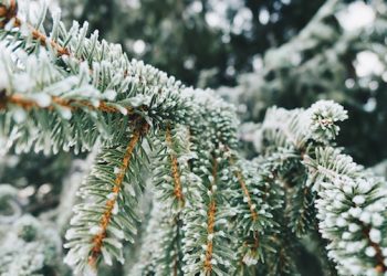 East End Pest Control Expert Shares How To Winterize Your Home