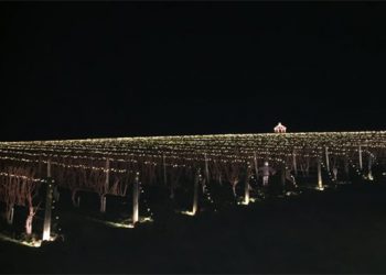 Lighting Of The Vines: A Hamptons Charity Wreath Auction And Holiday Soiree