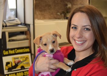 Hamptons-Based Animal Welfare And Pet Adoption Organization Spreading Holiday Cheer By Welcoming Santa And Bringing Puppies To Local Businesses