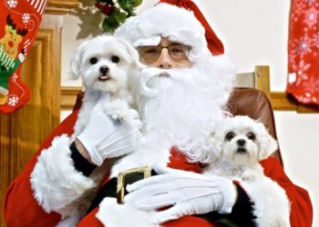 A Duo Of Hamptons Winter Fairs Taking Place This Weekend