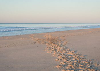 Sarah Levey And Joanna Cohen Of Y7 Leading Hamptons Wellness Retreat