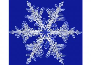 A Winterfest Wonderland Returning To Hampton Bays