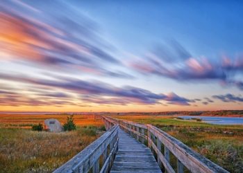 Annual Hamptons Winter Art Show To Boast Works By Nearly 30 Local Artists