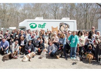 Hamptons-Based Animal Rescue Celebrating Adoption And Our Four Legged Friends