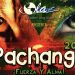 OLA Of Eastern Long Island Hosting Annual Pachanga