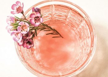 Celebrate The Holiday Weekend With These Festive Sips