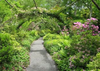Hamptons-Based Public Gardens Presenting Complimentary Tours As Part Of Annual Celebration