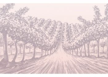 Sustainable Hamptons Rosé Tasting To Support HRHCare Foundation