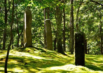 Love Gorgeous Garden Tours, Film, And Engaging Talks? Landscape Pleasures Has You Covered