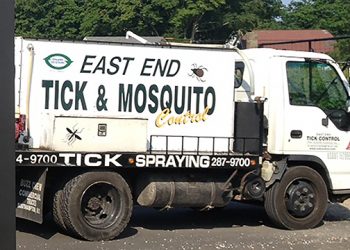 Pest Control Expert Offers Tips To Keep Pesky Pests Away This Summer