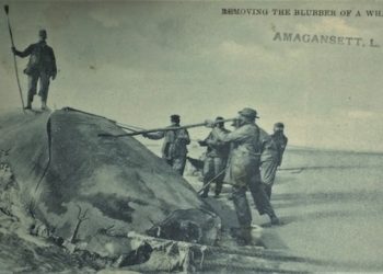 Hamptons-Based Museum Highlights Vintage Whaling-themed Stamps And Postcards