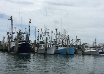 INTERVIEW: The Nature Conservancy’s Kevin McDonald On The Community Preservation Fund’s 20th Anniversary, Fêting The Fund At The Conservancy’s Summer Gala, And More