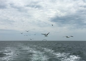 Sixty-Something: The Pure Magic Of July In The Hamptons