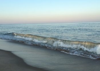 The 2019 New York State Rental Law And How It Affects Landlords And Tenants