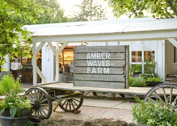 Daily Harvest Pops Up At Two Popular Hamptons Spots