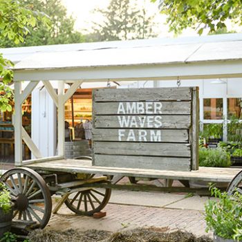 2nd Annual FEED Family Fête at the Farm