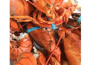 Concerned Citizens Of Montauk Hosting First Lobster Bake Fundraiser