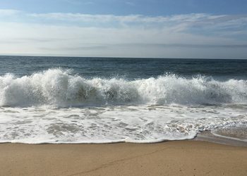 Sixty-Something: The Last Two Weeks Of August Are The High Summer Season Of The Hamptons