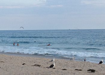 Surf’s Up: Southampton Village Restriction On Surfing A Wipe-Out