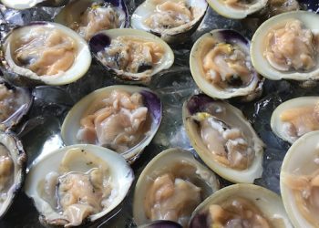 Annual Montauk Seafood Festival Returning To Gurney’s Star Island Resort & Marina