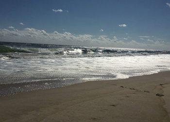 Some Fallout Among Landlords And Real Estate Practitioners Over The New Rent Law