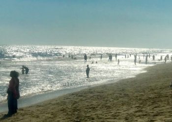 Sixty-Something: The Importance Of East End Beaches