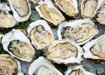 INTERVIEW: East Hampton Shellfish Hatchery Director John “Barley” Dunne On The Upcoming “All About Oysters” Lecture, Oyster Myths, The Best Time To Harvest, And More