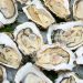 INTERVIEW: East Hampton Shellfish Hatchery Director John “Barley” Dunne On The Upcoming “All About Oysters” Lecture, Oyster Myths, The Best Time To Harvest, And More