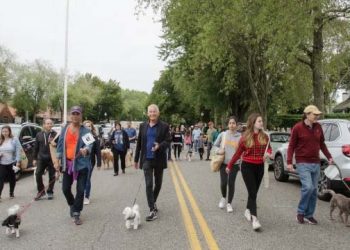 Fall Pet Friendly Hamptons Seaside Strolls