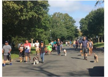 Paws On Parade To Include Walk To The Ocean, Animal Agility Course, A “Frankenstein Follies” Appearance, And More