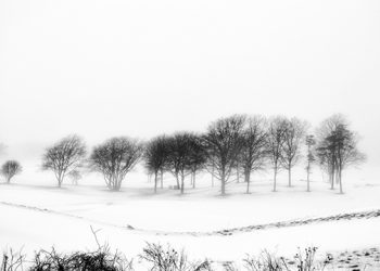 ArtRemsenburg To Extend Season With “Fall Into Winter”