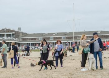 Animal Rescue Fund Of The Hamptons To Host Annual Stroll To The Sea Dog Walk Over The Holiday Weekend