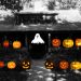 Sag Harbor Historical Society Celebrating Halloween With Annie’s Field Of Jack-O-Lanterns
