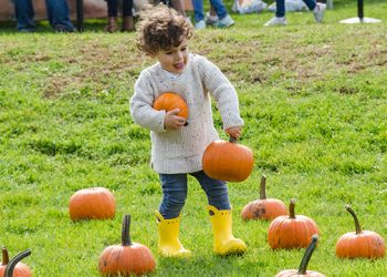 Third Annual Fall Festival To Feature Live Music, Halloween Parade, Local Bites, Seasonal Activities, And More