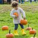 Third Annual Fall Festival To Feature Live Music, Halloween Parade, Local Bites, Seasonal Activities, And More