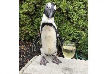 Over 20 Long Island-Based Wineries And Craft Beverage Purveyors To Take Part In Annual Tasting Event At Aquarium