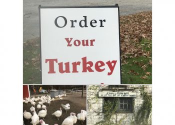 Sixty-Something: Thanksgiving In The Hamptons Tales