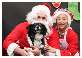 Hamptons-Based Animal Adoption Center Hosting Pictures With Santa