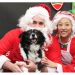 Hamptons-Based Animal Adoption Center Hosting Pictures With Santa