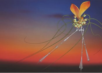 Tripoli Gallery To End One Year And Start The Next With “What Have We Done?”