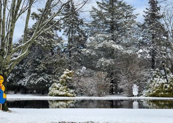 Quogue Library Hosting Snowman Stroll Around The Pond – Complete With Movie And Hot Cocoa At The Firehouse