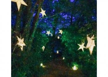 East End-Based Wildlife Refuge Hosting Annual Light The Night Winter Trail Walks