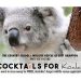 Hamptons Cocktails For Koalas Event To Support Australia’s Largest Wildlife Rescue Organization