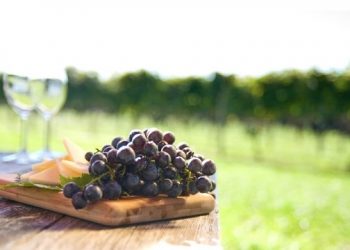 Long Island Winterfest Back For Its 13th Iteration