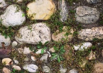 Annual Black History Month Celebration To Focus On “Narratives In The Making: Unearthing The Stories Within Us”