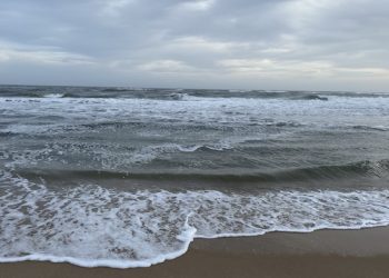 Peconic Bay Community Preservation Fund Monthly Revenue Sees 66.4 Percent Growth Over January 2019